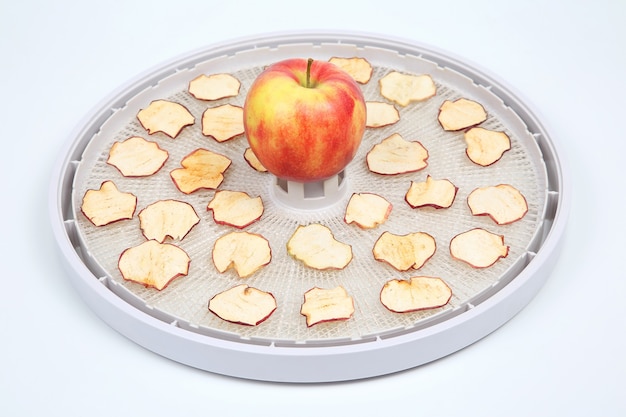Tranches de pomme séchées sur des plateaux de séchoir à fruits électrique spécial