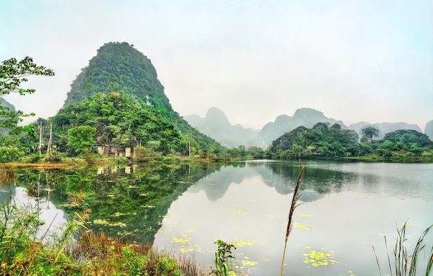 Photo trang an scenic landscape complex. au vietnam