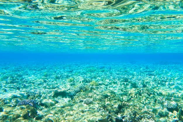 Tranquille sous l&#39;eau