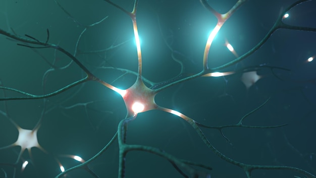 Transfert de signal neuronal de faible à haute activité rendu 3D