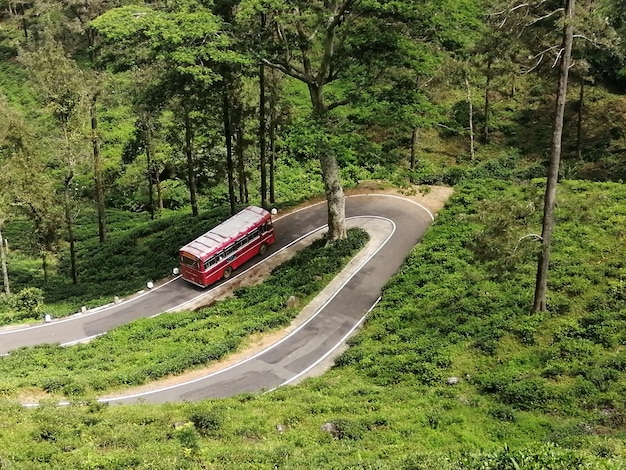 Transit urbain Le voyage en bus sur la route ouverte