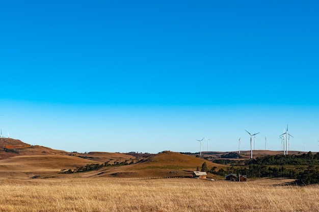 Transmission de l'énergie des éoliennes dans les champs de l'état de Santa Catarina Brésil