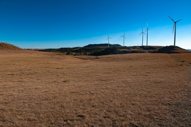 Transmission de l'énergie des éoliennes dans les champs de l'état de Santa Catarina Brésil