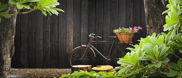 Transport de fleurs par le mur