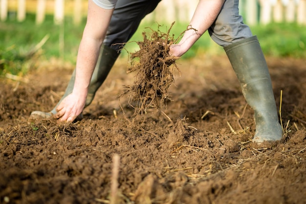 Travail dans le jardin dans le sol Agriculture Un homme méconnaissable effectue des travaux agricoles