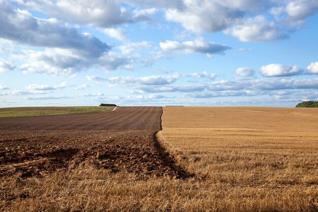 Travail du sol dans le domaine agricole pour planter une nouvelle culture