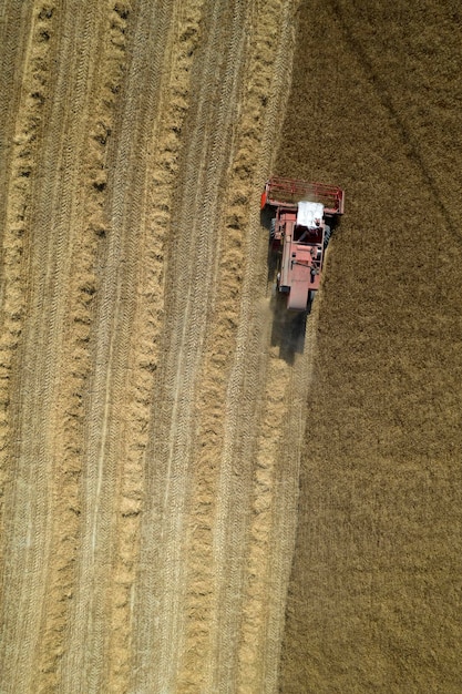 Le travail d'un moissonneur de blé en été