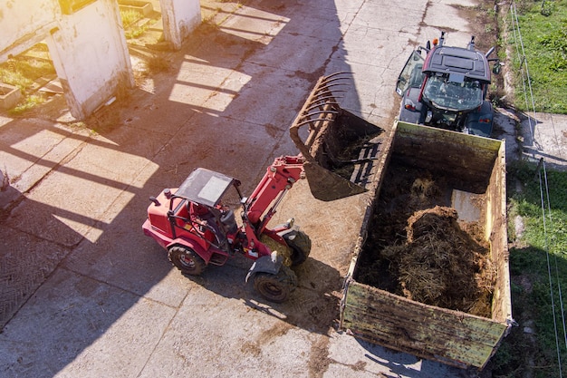 Travail de pelle d'excavatrice