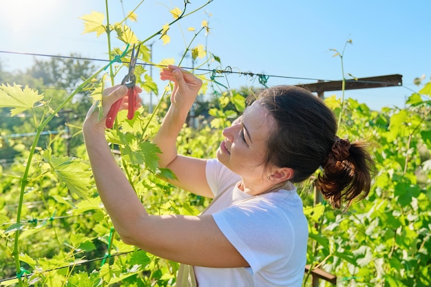 Travail de printemps été dans le vignoble femme avec des cisailles faisant l'élagage du raisin
