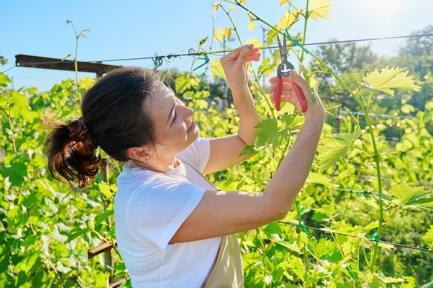 Travail de printemps été dans le vignoble femme avec des cisailles faisant l'élagage du raisin