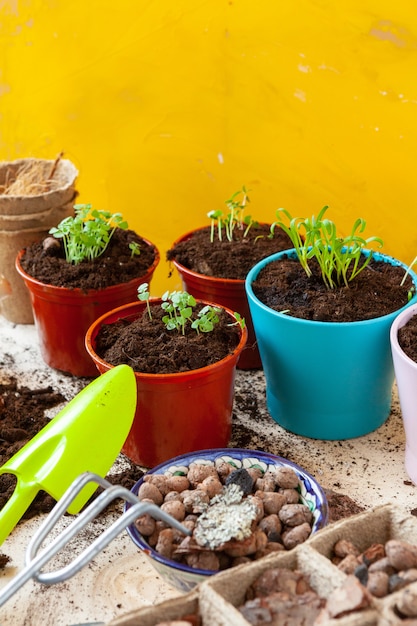 Travailler dans le jardin, planter des pots de près