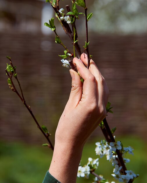 Photo travailler dans le jardin de printemps.