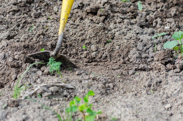 Travailler avec une houe et les mains dans le jardin