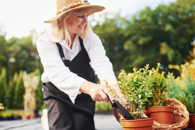 Travailler avec des plantes en pots Une femme âgée est dans le jardin pendant la journée Conception des plantes et des saisons