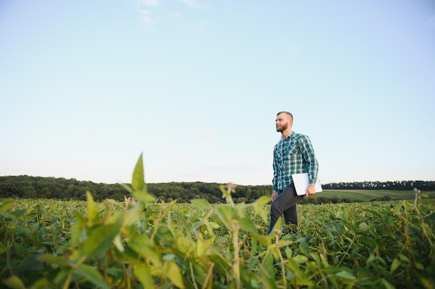 Le travailleur agricole contrôle le développement des plants de soja. Agronome vérifiant les cultures de soja poussant dans le champ