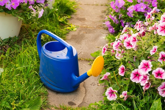 Travailleur agricole outils de jardinage arrosage en plastique bleu peut pour les plantes d'irrigation placées dans le jardin avec