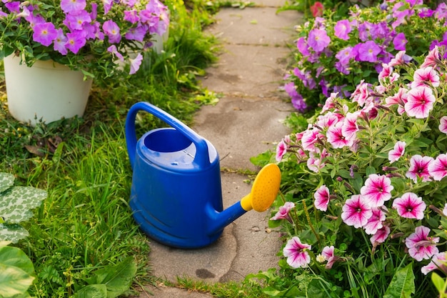Travailleur agricole outils de jardinage arrosage en plastique bleu peut pour les plantes d'irrigation placées dans le jardin avec
