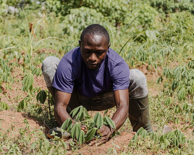 Photo travailleur de la campagne plantant dans le champ