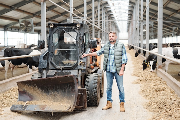 Travailleur confiant mature de ferme moderne debout par tracteur ou autre équipement de travail sur longue allée entre deux rangées de vaches laitières