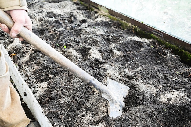 Travailleur jardinier mâle creusant dans le potager avec pelle Homme agriculteur en bottes de caoutchouc travaillant les mains avec bêche creuser le sol noir pelouse agriculture agriculture automne automne travail de printemps nettoyage