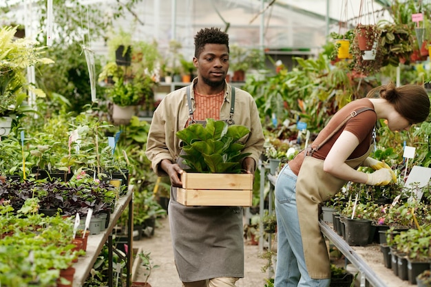 Travailleur livrant des plantes au fleuriste