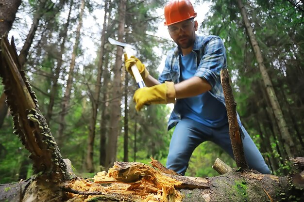 Travailleur masculin avec une hache coupant un arbre dans la forêt.