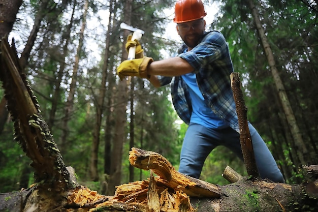 Travailleur masculin avec une hache coupant un arbre dans la forêt.