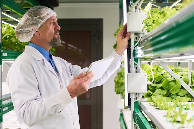 Travailleur masculin mûr de la ferme verticale ajustant la température ou la lumière