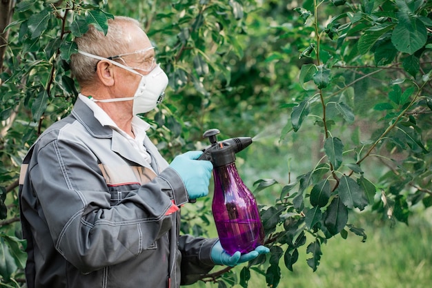 Un travailleur pulvérise des pesticides organiques sur les plantes