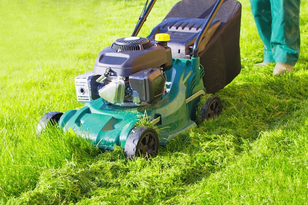 Photo travailleur avec tondeuse à gazon tond l'herbe verte. pailler l'herbe à l'arrière-cour.