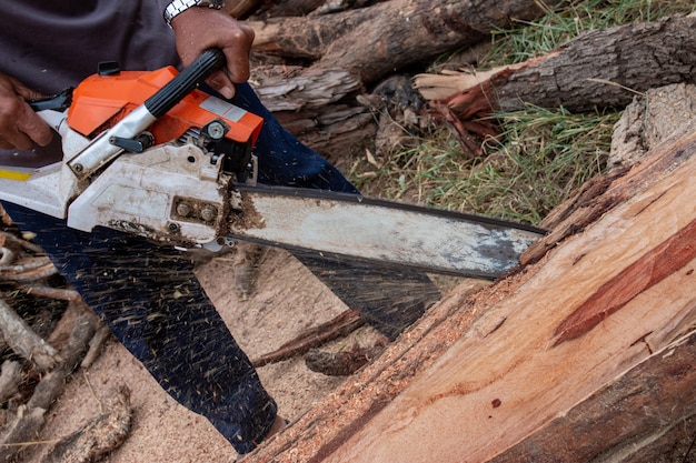 Le travailleur travaille avec une scie à chaîne. La tronçonneuse se bouchent. Bûcheron scie un arbre avec une scie à chaîne. Homme coupant du bois avec de la scie, de la poussière et des mouvements.