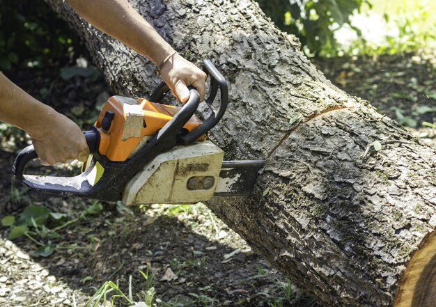 Travailleur utilise tronçonneuse tronçonneuse dans la forêt.