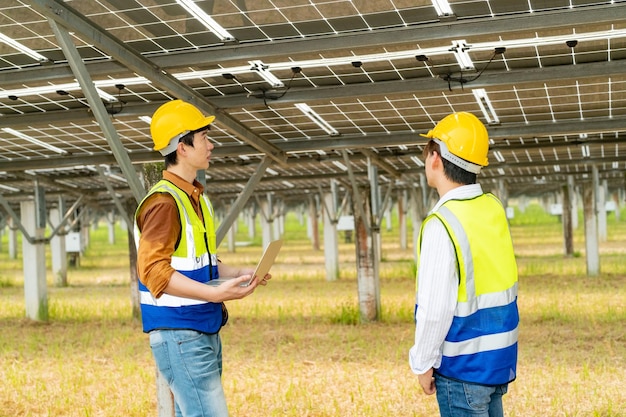 Travailleurs installant des panneaux solaires pour une énergie efficace dans la ville