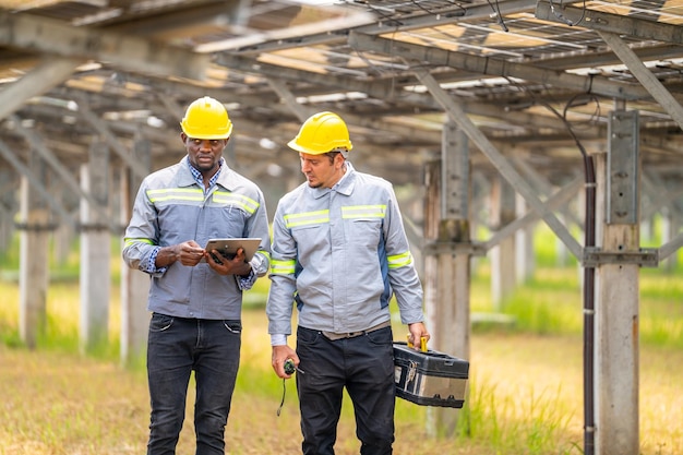 Travailleurs installant des panneaux solaires pour une énergie efficace dans la ville