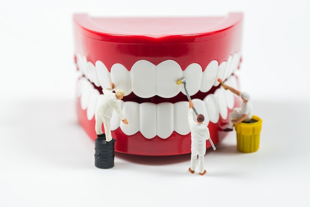 les travailleurs miniatures nettoient le modèle de dents