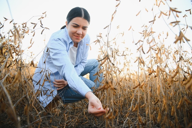 Une travailleuse agricole de race blanche inspectant le soja sur le terrain le soir d'été quelque part en Ukraine