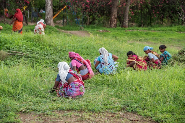 Travailleuses coupant l'herbe non désirée du champ de jardin