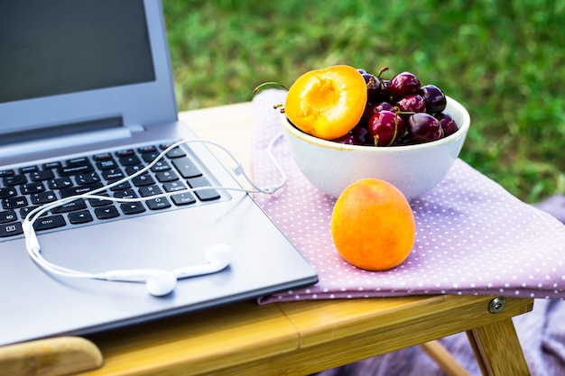 Travaillez sur un ordinateur portable pour un pique-nique dans la nature - à côté d&#39;un bol de cerises et d&#39;abricots