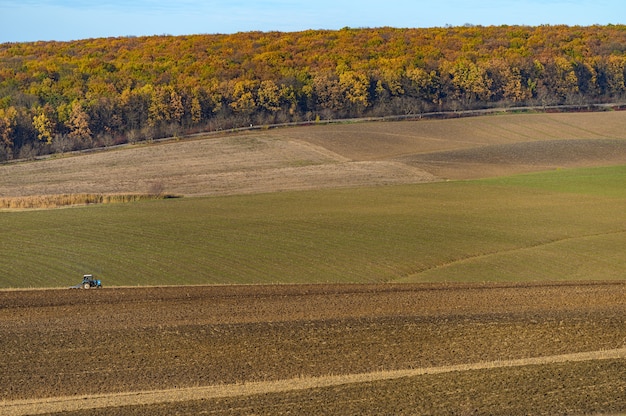 Travaux agricoles sur le terrain au coucher du soleil