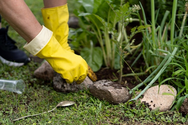 Travaux de jardinage avec des gants jaunes