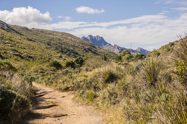 À travers les sentiers d&#39;Itatiaia