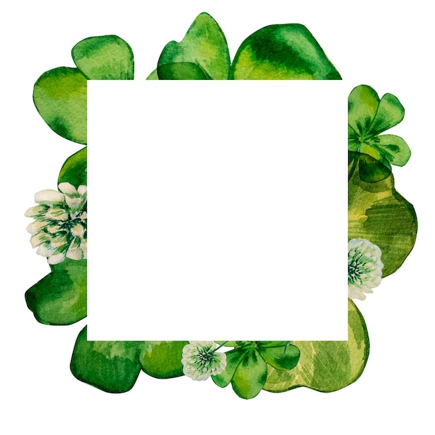 Trèfle et trèfle cadre carré aquarelle sur fond blanc Bordure d'illustration peinte à la main avec des feuilles vertes fleurs blanches symbole irlandais pour les conceptions de cartes postales