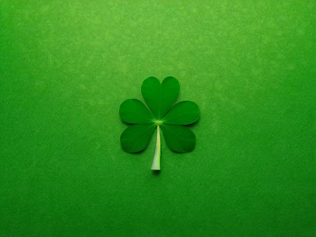 Un trèfle vert à quatre feuilles sur fond vert parfait pour les célébrations de la Saint-Patrick