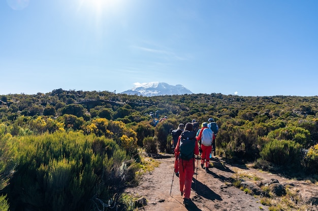 Trek au Kilimandjaro