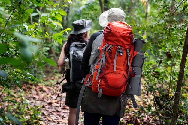 Trekking dans une forêt