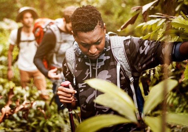 Photo trekking dans une forêt