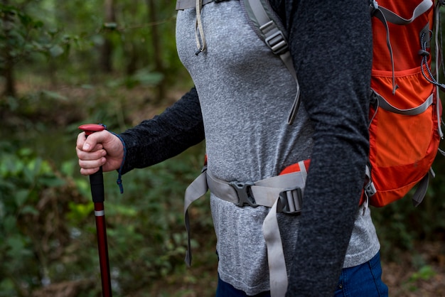 Photo trekking dans une forêt