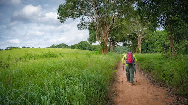 Trekking en routard pour étudier la nature de la forêt tropicale pour l'écotourisme. Trekking touristique pour voir la beauté de la forêt tropicale dans le parc national de Khao Yai. Zone du patrimoine mondial de l'UNESCO, Thaïlande invisible.