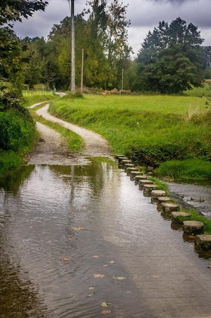 Tremplins sur un ruisseau