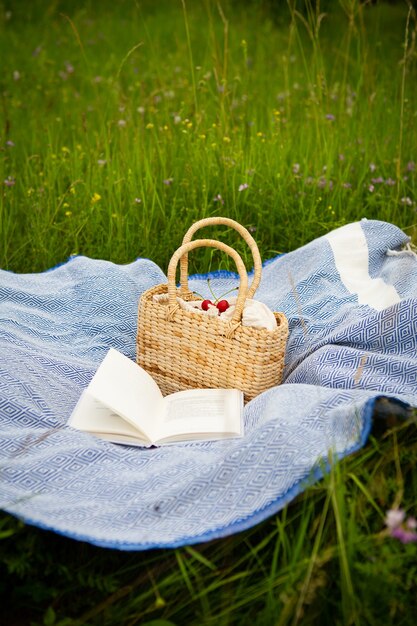 Très beau pique-nique en pleine nature dans le parc. Sac de paille, livre, plaid bleu. Loisirs de plein air. Fermer.